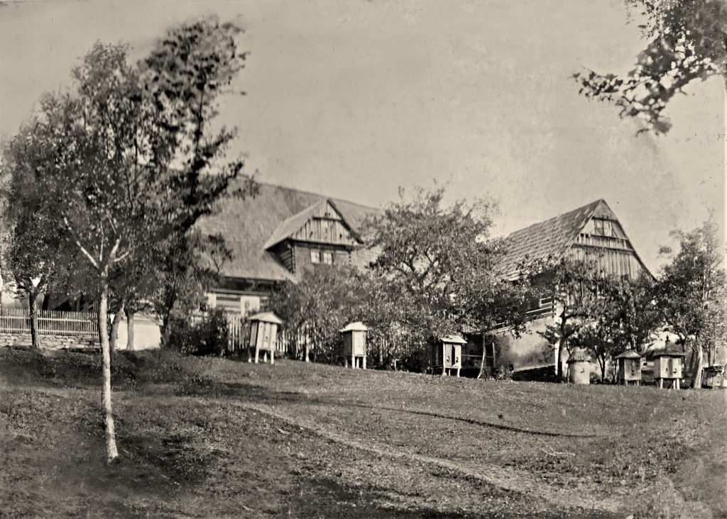 tomasuv statek historie tomášova statku